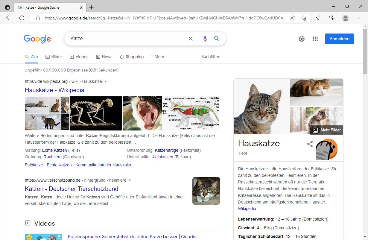 Screenshot der Google Webseite mit Sucbegriff "Katze"