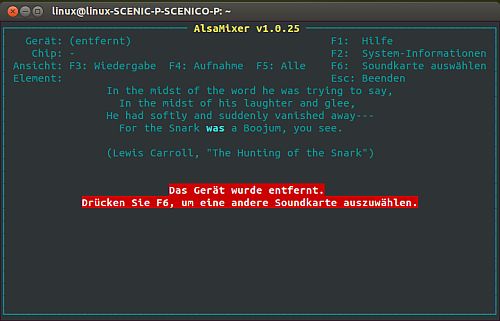 alsamixer mit abgezogener USB-Soundkarte