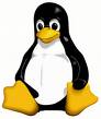 Ein Pinguin als Linux Logo