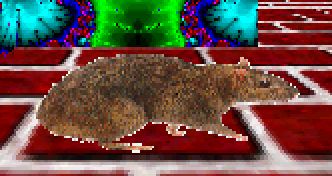 Eine Ratte im 3D-Labyrinth - Bildschirmschoner
